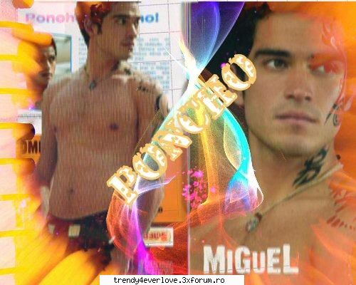 special gallery new ponchis