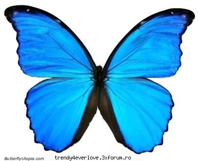 Cel mai? - Morpho-Didius km te simti ali?=)) cel mai marfa - Cafenea
