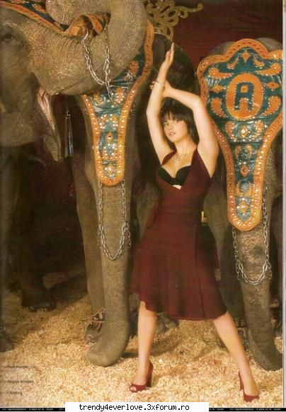 Galerie de poze - Admin - Maite